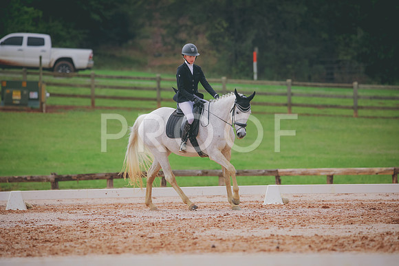 RWP_3498