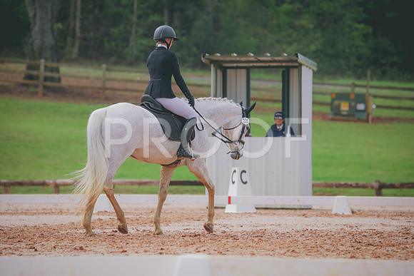 RWP_3511