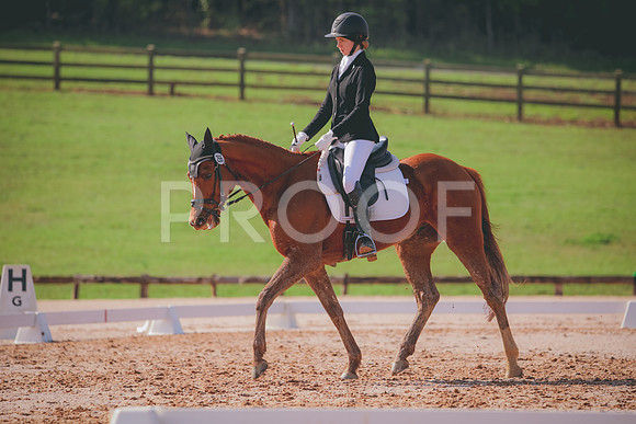 RWP_3229