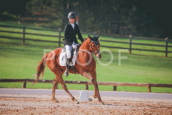 RWP_3225