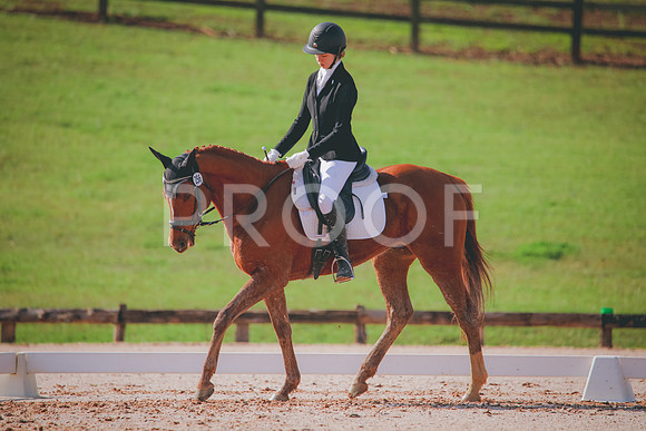 RWP_3222