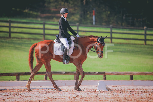 RWP_3238