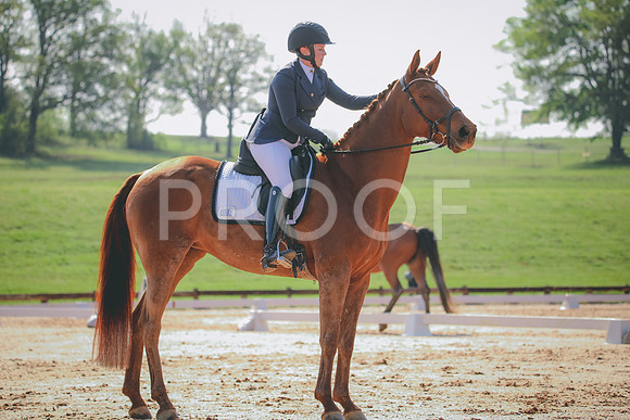 RWP_3254