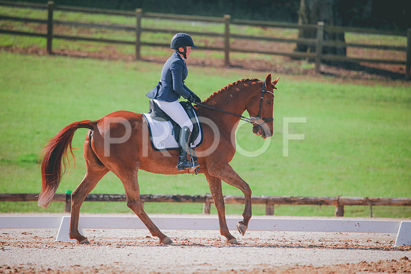 RWP_3262