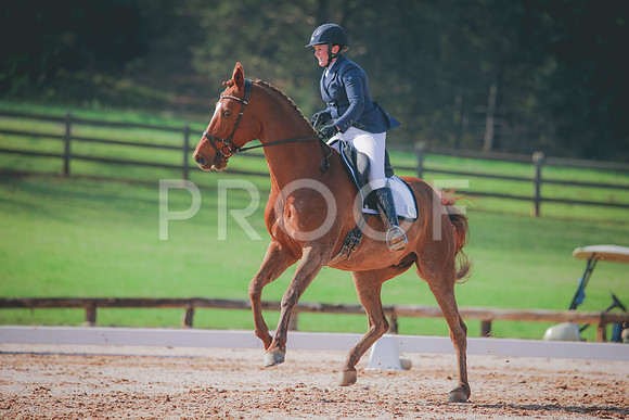 RWP_3260