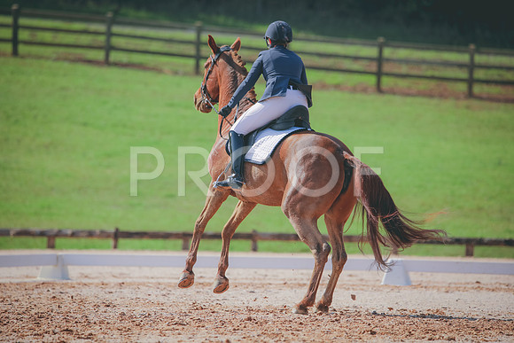 RWP_3261