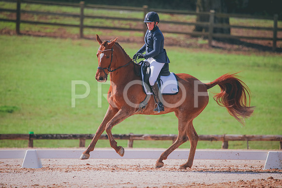 RWP_3274