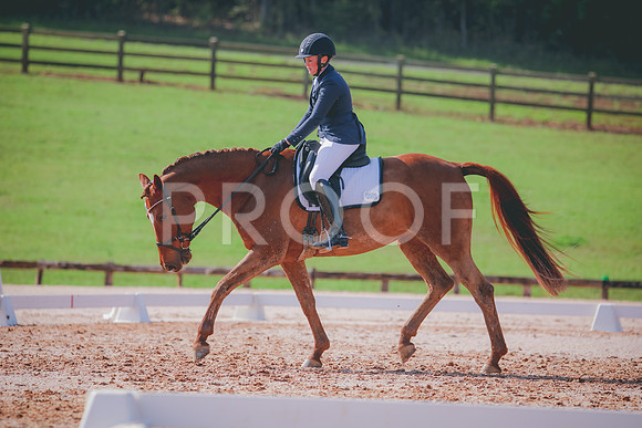 RWP_3268