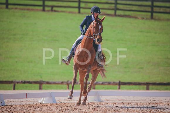 RWP_3275