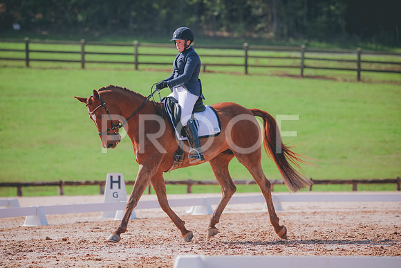 RWP_3265