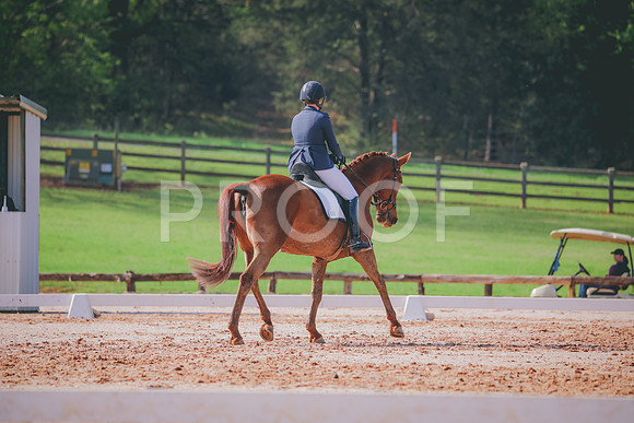 RWP_3280