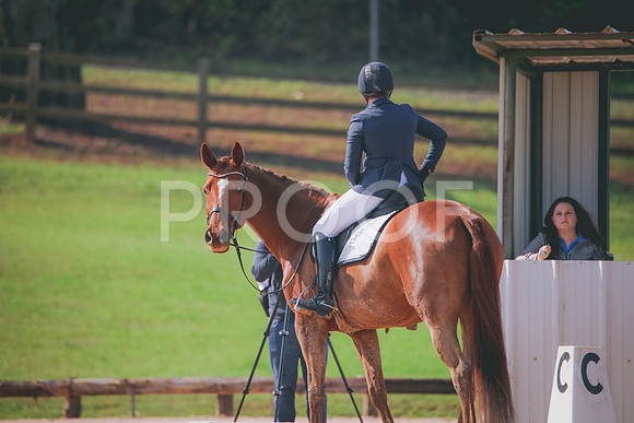 RWP_3284