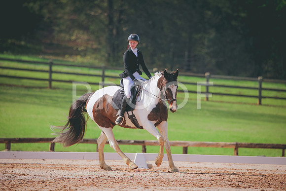 RWP_3310