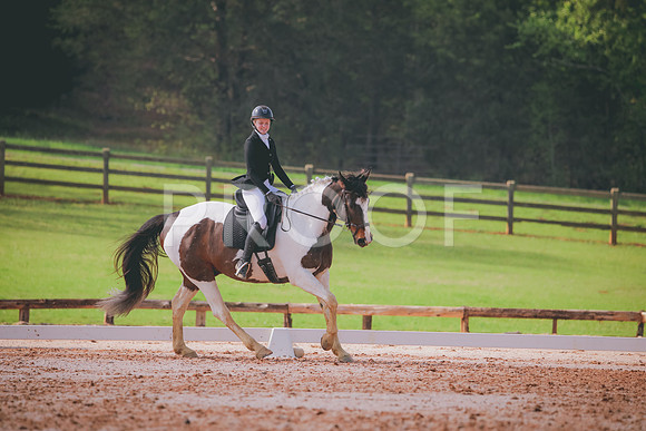RWP_3313