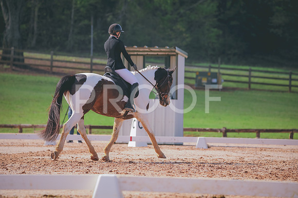 RWP_3328