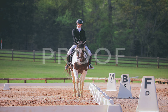 RWP_3319