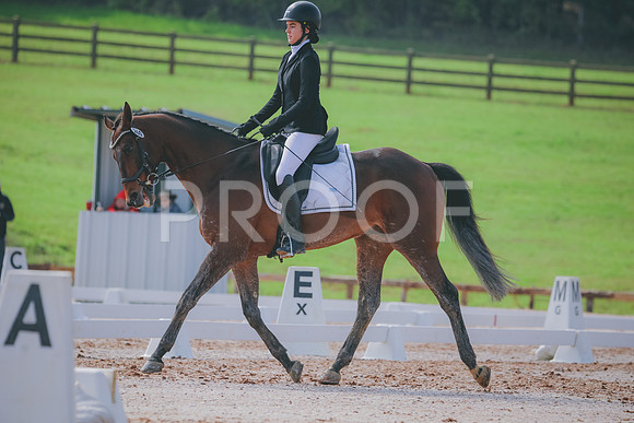 RWP_3347