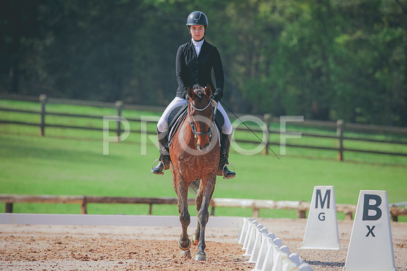 RWP_3353