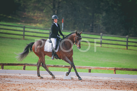 RWP_3342