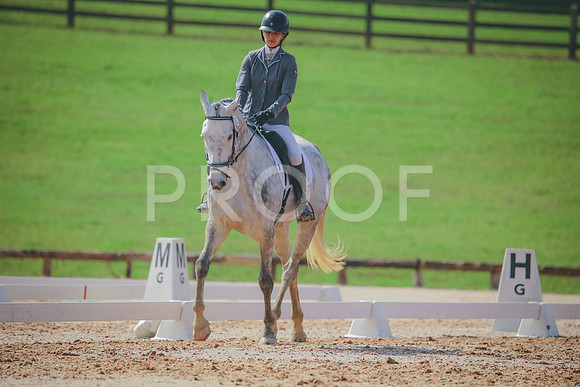 RWP_3369