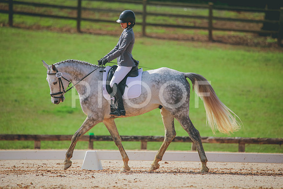 RWP_3367