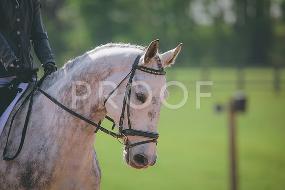 RWP_3364