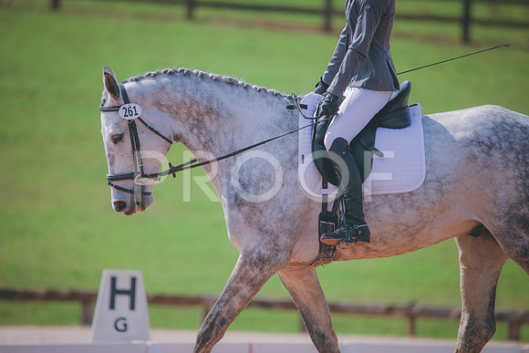 RWP_3381