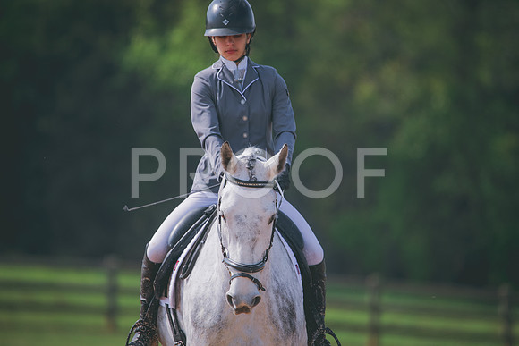 RWP_3386