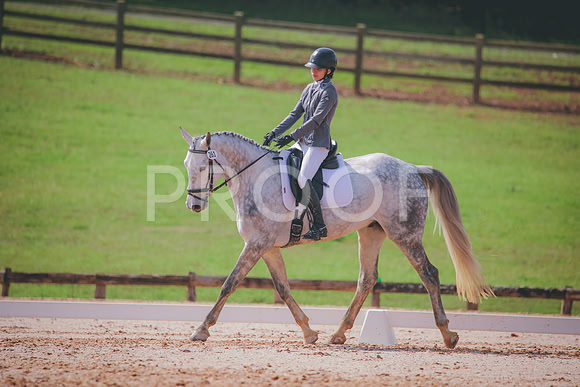 RWP_3393