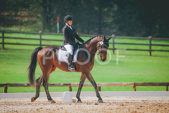 RWP_3411