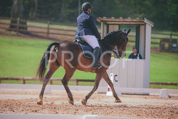 RWP_3442