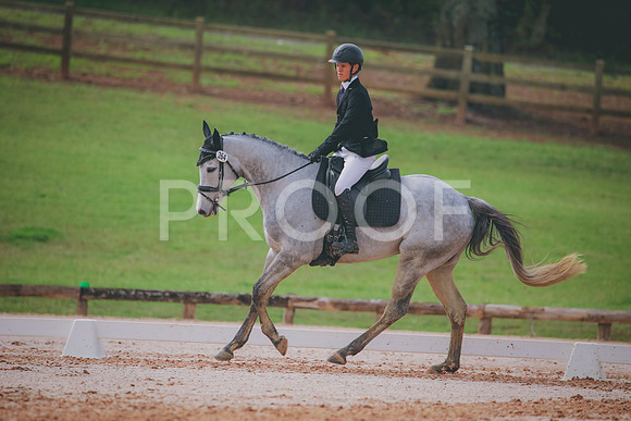 RWP_3462