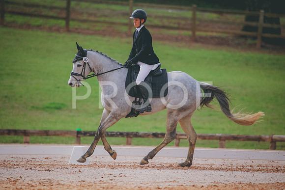 RWP_3464