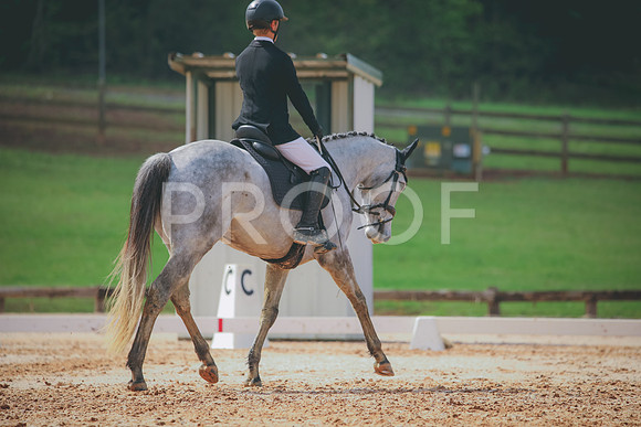 RWP_3466