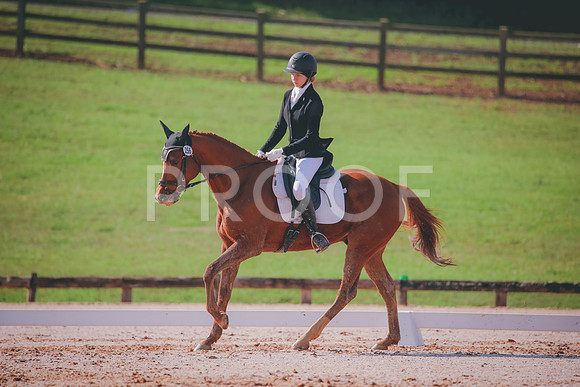 RWP_3245