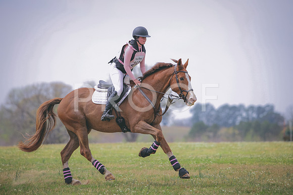 RWP_0290