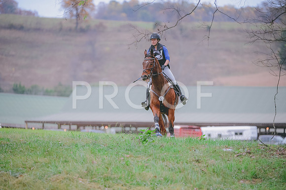 JJS_1244