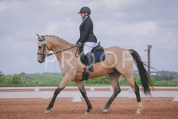 RWP_4460