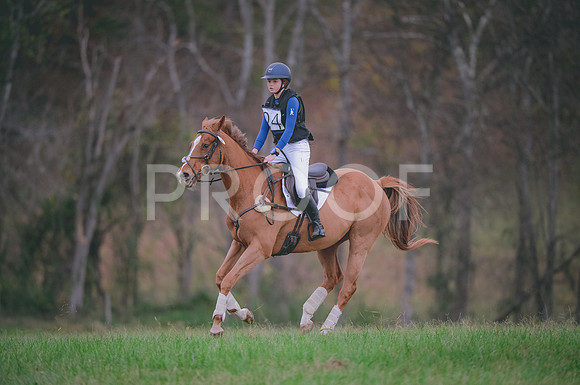JJS_0265