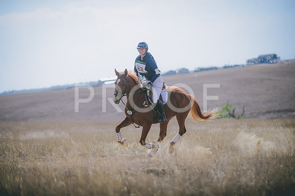 JJS_0280