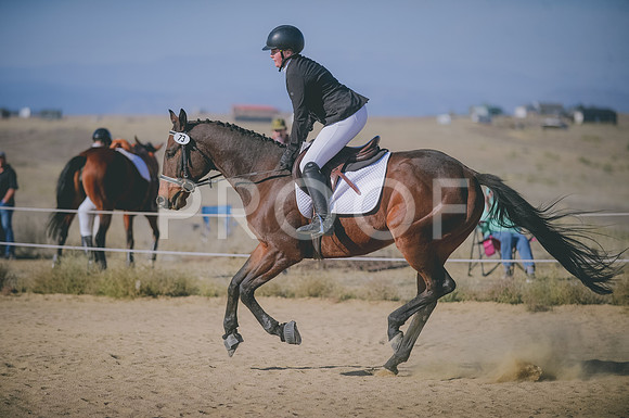 JJS_1298