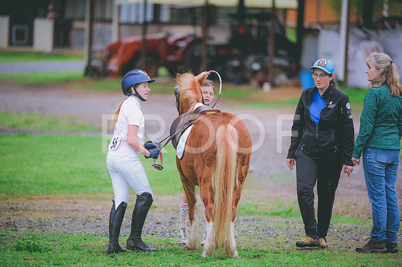 JJS_0954
