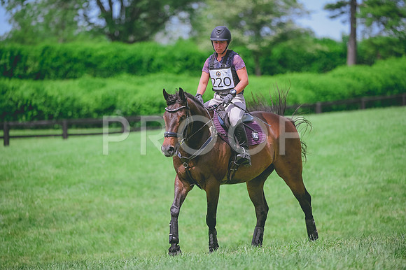 DSC_3676