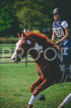 JJS_8799