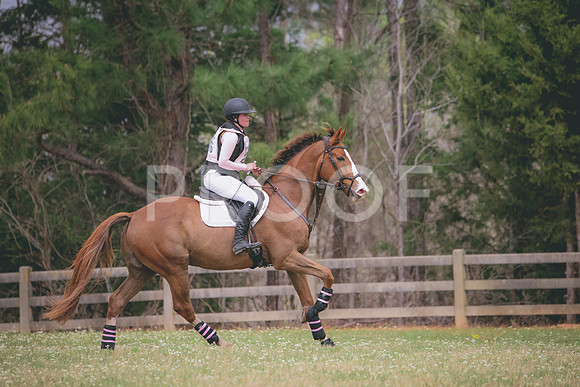RWP_0291