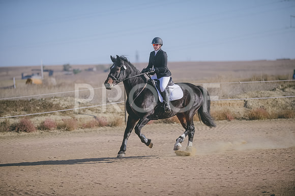 JJS_0810