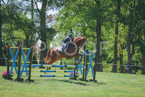 3T5A2436