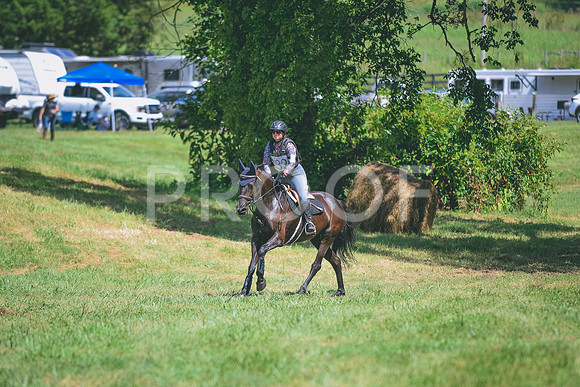DSC_5195