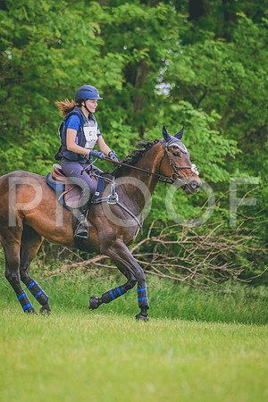 DSC_4698 copy
