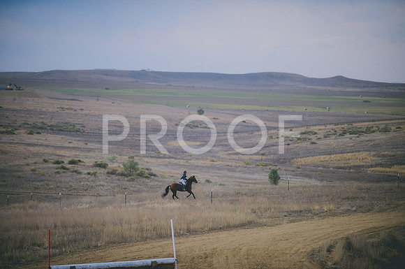 JJS_3528